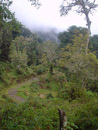 Caminata en Mirador de Quetzales2