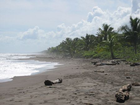 Playa donde desovan las tortugas